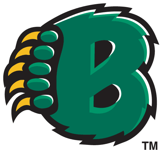 Baylor Bears 1997-2004 Alternate Logo 02 heat sticker